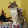 Отзыв от Лия Гладкова